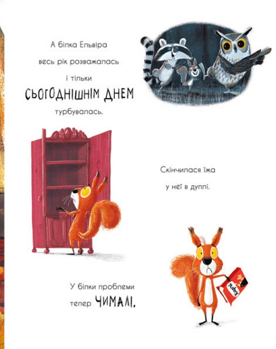 Книга Дві білки і шишка з гілки Рейчел Брайт, Джим Філд - Зображення 4