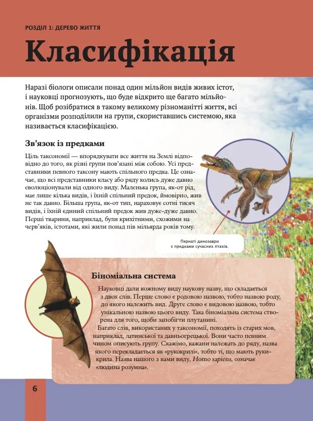 Книга Дитяча енциклопедія біології Том Джексон - Зображення 4