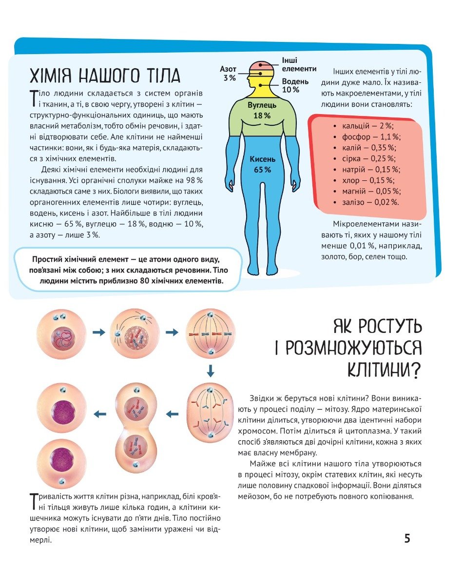 Книга Дитяча енциклопедія Тіло людини - Зображення 4