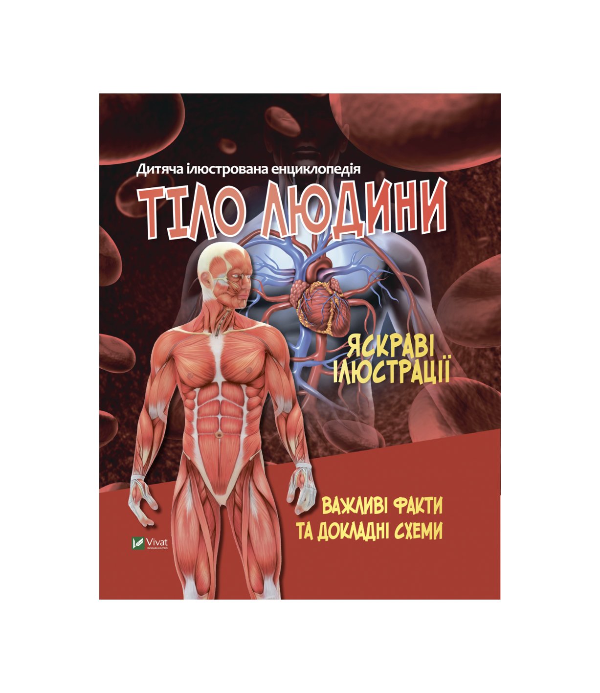 Книга Дитяча енциклопедія Тіло людини