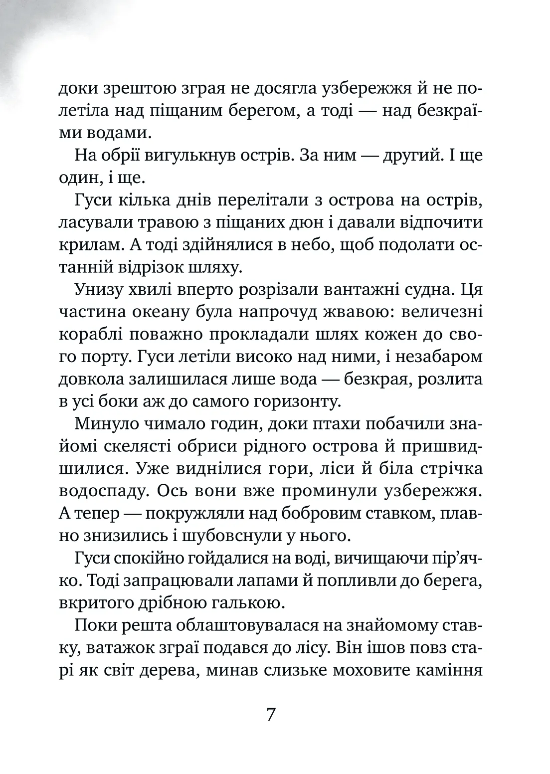 Книга Дикий робот рятує Пітер Браун - Зображення 4